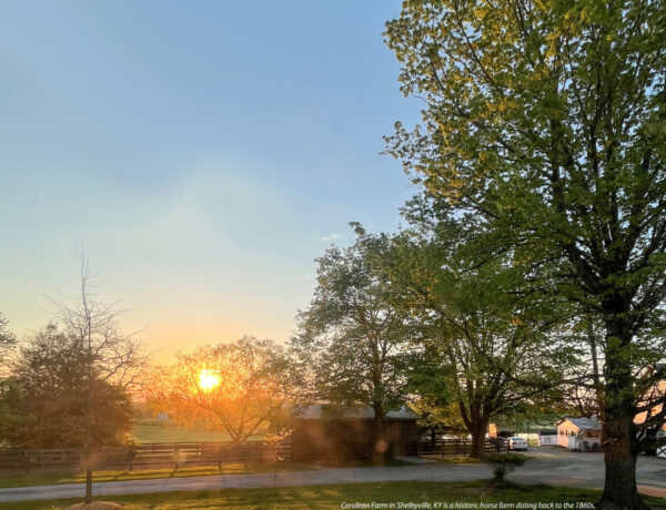 WOMEN MEAN BUSINESS IN SHELBY COUNTY, KY